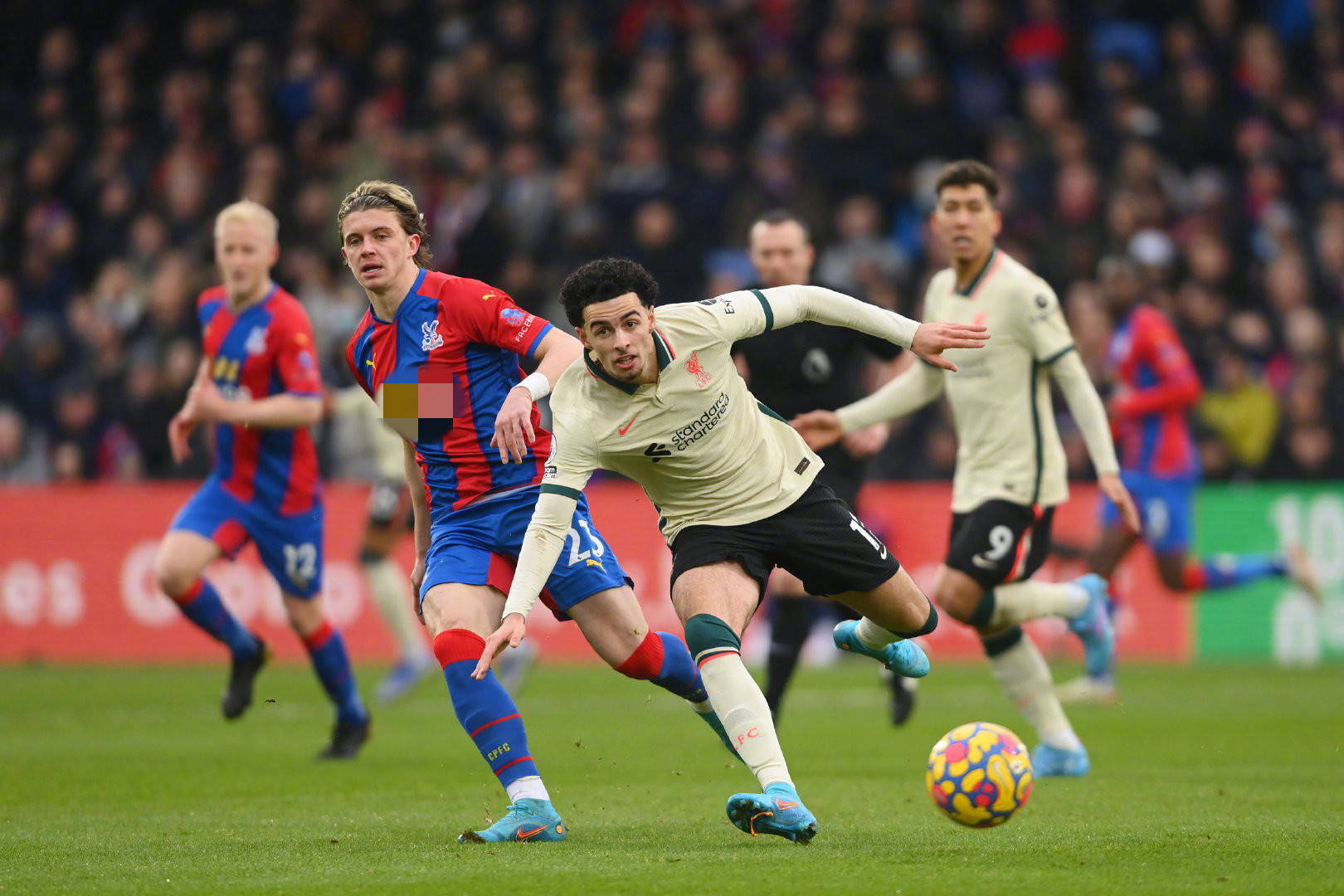 看到他更多 看到他更多