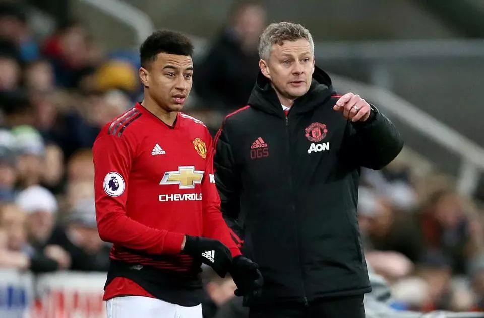 才的引入 才的引入